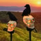 SpineChilling Outdoor Skeleton Ghost Halloween Light Set 0