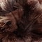 Premium WoodenHandle Ostrich Feather Duster AntiStatic Home Dust Brush 3