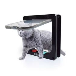 smarttwo-way pet door - secure cat & dog flap for easy entry & exit
