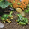 Charming Frog Resin Garden Ornament Mini Landscape Bonsai Decoration 0