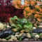 Charming Frog Resin Garden Ornament Mini Landscape Bonsai Decoration 2