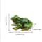 Charming Frog Resin Garden Ornament Mini Landscape Bonsai Decoration 5