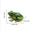 Charming Frog Resin Garden Ornament Mini Landscape Bonsai Decoration 5