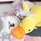 Durable Duck ChewResistant Squeaky Plush Toy For Dogs 1