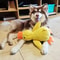 Durable Duck ChewResistant Squeaky Plush Toy For Dogs 4