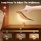SoftGlow BirdShaped Touch Lamp Rechargeable Wireless Night Light 3