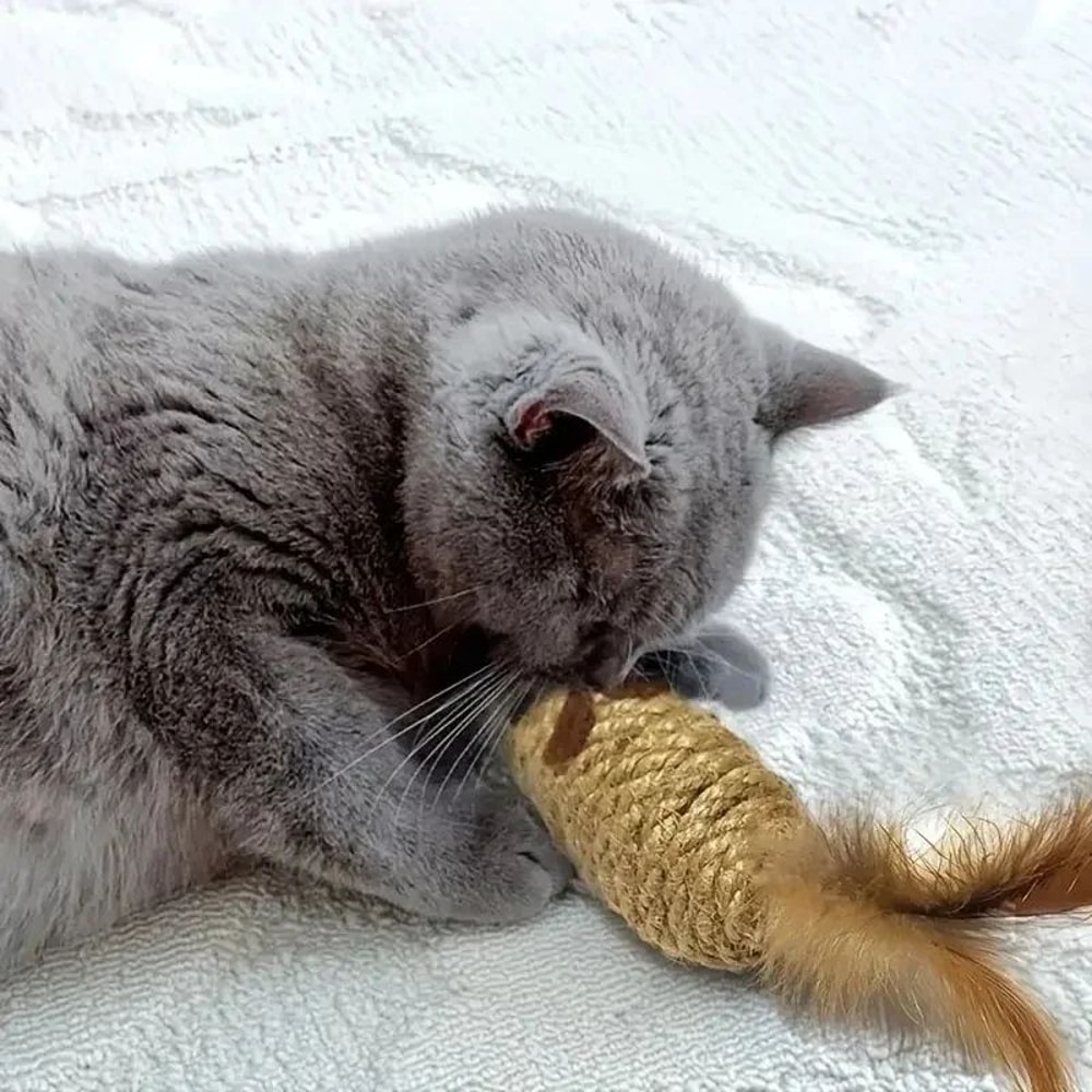 Premium 2Pack Interactive Feather Mouse Cat Chew Toys 3