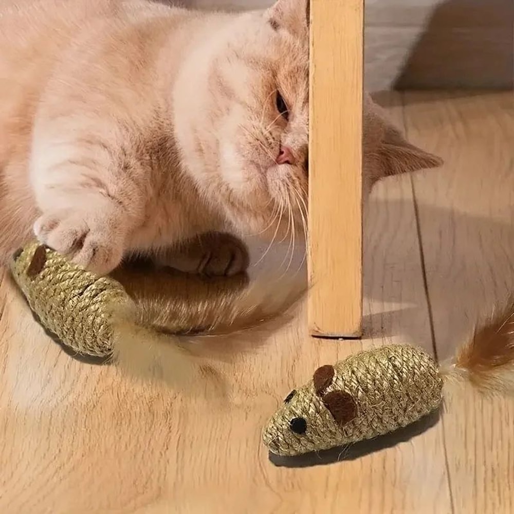 Premium 2Pack Interactive Feather Mouse Cat Chew Toys 4