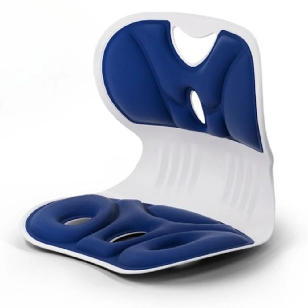 ErgoComfort Lumbar Support Pillow For AllDay Back Relief 12