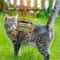 Khaki Tactical EscapeProof Cat Walking Vest Adjustable Leash Set 1