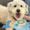 CalmBite SlowFeed Pet Lick Mat Yogurt Licking Plate For Dogs Cats 2