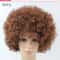 Vibrant Curly Clown Wig For Parties Cosplay 10