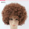 Vibrant Curly Clown Wig For Parties Cosplay 10