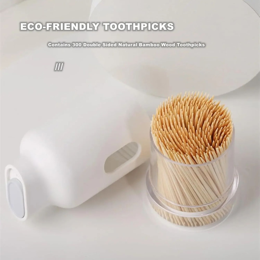 Elegant Portable Toothpick Storage Large Capacity Toothpick Dispenser Box 2