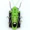 SolarPowered Grasshopper Motion Toy Educational Solar Powered Toy For Kids Interactive Insect Toy 5