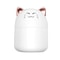 Cute Pet Mini USB Humidifier For Desktop Bedroom 5
