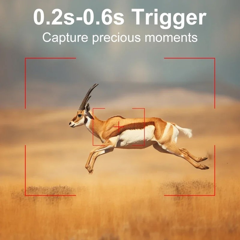 Compact NoGlow HD Trail Camera For Wildlife Property Monitoring 2