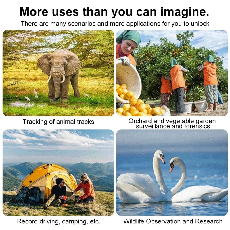 Compact NoGlow HD Trail Camera For Wildlife Property Monitoring 4