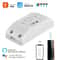 WiFi Smart Switch DIY Remote Controller For Alexa Google Home Automation 2