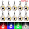 Deep Drop LED Underwater Fishing Light Squid Fish Attractor 10Pack 0