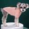 Cozy Bear Winter Dog Sweater Warm Pullover Jacket For Small Medium Pets 2
