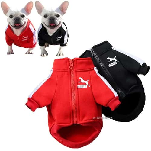 Winter Baseball Dog Jacket for Small & Medium Dogs – Warm Puppy Pet Vest Coat