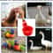 Automatic Poultry Waterer Cups Chicken Drinking Cups Poultry Water Dispenser System 3