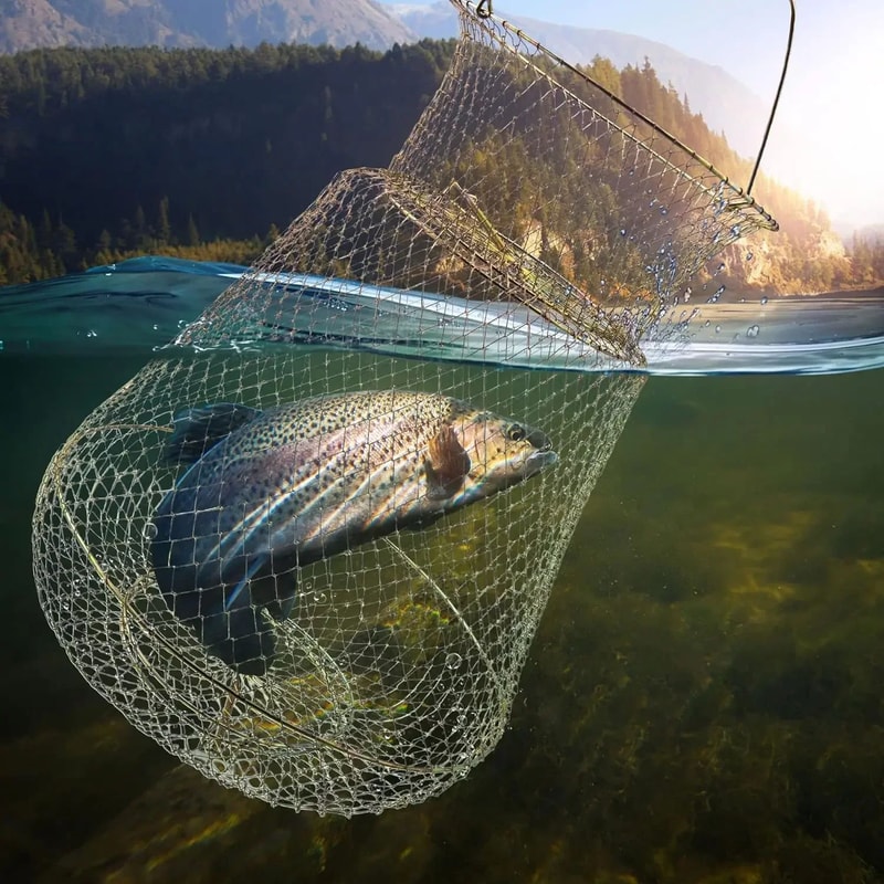 Portable Folding Steel Wire Fish Basket For Live Catch Shrimp Fishing 3