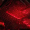 Galaxy Star LED Car Roof Projector Light USB Romantic Interior Atmosphere Lamp 1