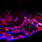 SoundActivated Car Ambient Light USB RGB DJ Mini 1