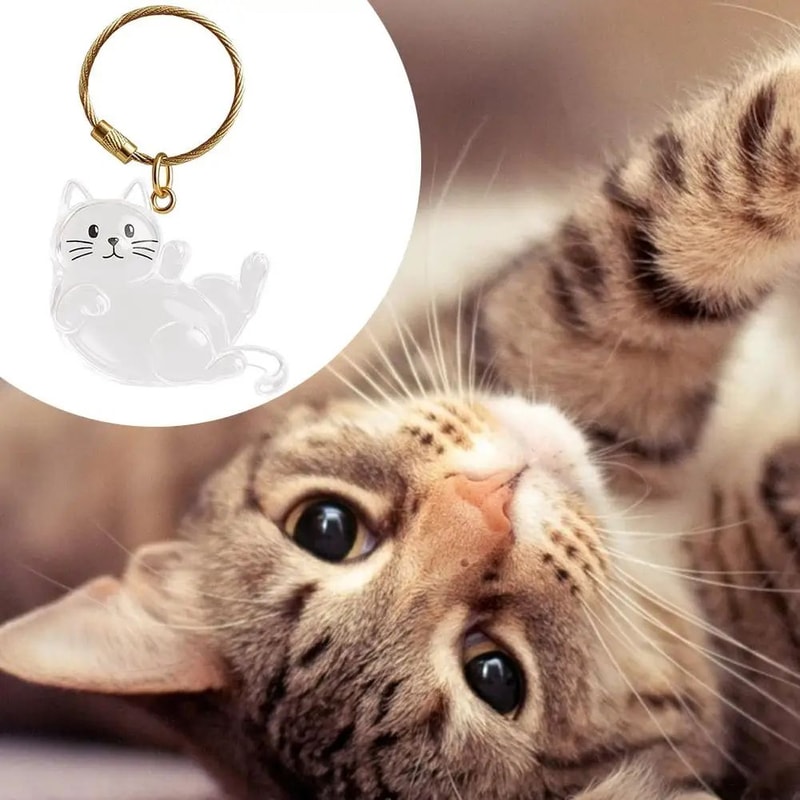 Transparent Pet Hair Keepsake Capsule Keychain Sentimental Cat Dog Hair Storage Box 1