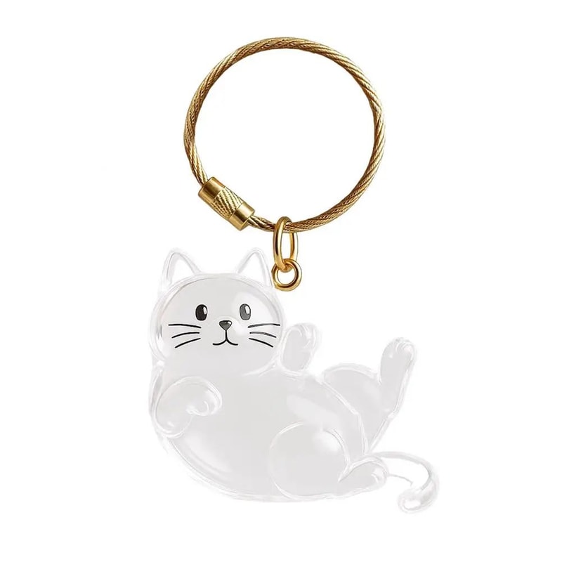 Transparent Pet Hair Keepsake Capsule Keychain Sentimental Cat Dog Hair Storage Box 6