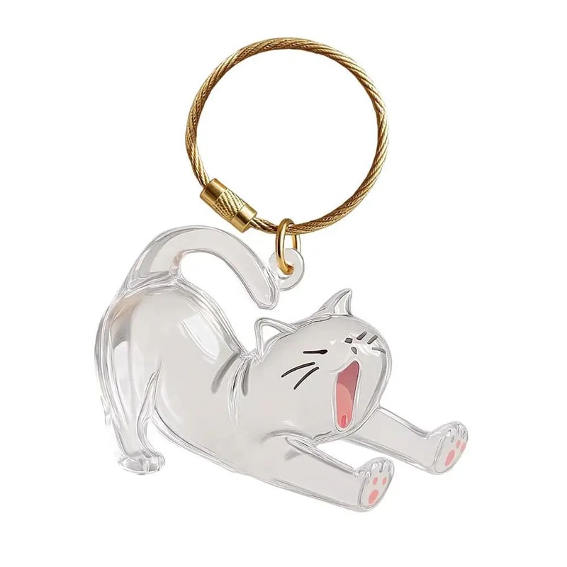 Transparent Pet Hair Keepsake Capsule Keychain Sentimental Cat Dog Hair Storage Box 7