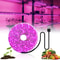 Full Spectrum USB Grow Light Strip 5V Flexible LED Plant Strip For Indoor Seedlings Hydroponics 0