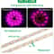 Full Spectrum USB Grow Light Strip 5V Flexible LED Plant Strip For Indoor Seedlings Hydroponics 4
