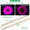 Full Spectrum USB Grow Light Strip 5V Flexible LED Plant Strip For Indoor Seedlings Hydroponics 4