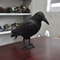 Realistic Black Raven Crow Decoy Bird Repellent For Garden And Balcony Pigeon Deterrent 1