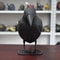 Realistic Black Raven Crow Decoy Bird Repellent For Garden And Balcony Pigeon Deterrent 4