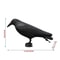 Realistic Black Raven Crow Decoy Bird Repellent For Garden And Balcony Pigeon Deterrent 5