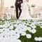 1000pcs Silk Rose Petals For Weddings Romantic Decor Soft White Party Table Scatter 1