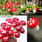 Mini Mushroom Miniatures Garden Stakes 10100pcs Fairy Garden Accessories Terrarium Decorations 0