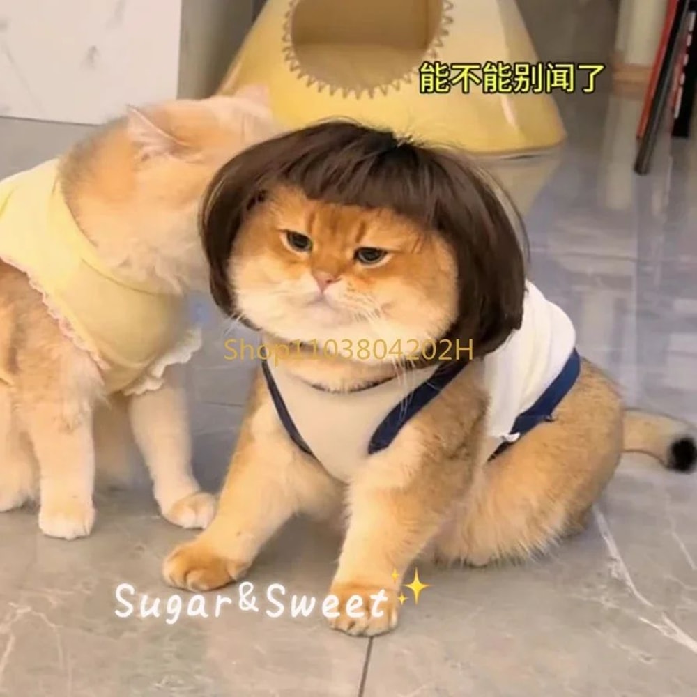 Funny Dog Wig With Bangs Braids Adjustable Pet Cosplay Wig For Cats Dogs Party Costume Headgear 3