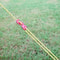 Reflective Windproof Tent Guy Lines With Buckles Secure Camping Canopy Ropes 4Pack 4