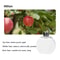 WallMount Desktop USB Essential Oil Diffuser With LED Night Light Automatic Mini Aromatherapy Fre 5