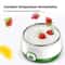 1L Automatic Yogurt Maker Machine For Homemade Yogurt Natto Rice Wine 220V 3