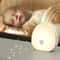 Rechargeable White Noise Machine With RGB Touch Night Light Sleep Sound Baby Sleep Aid Lamp 0