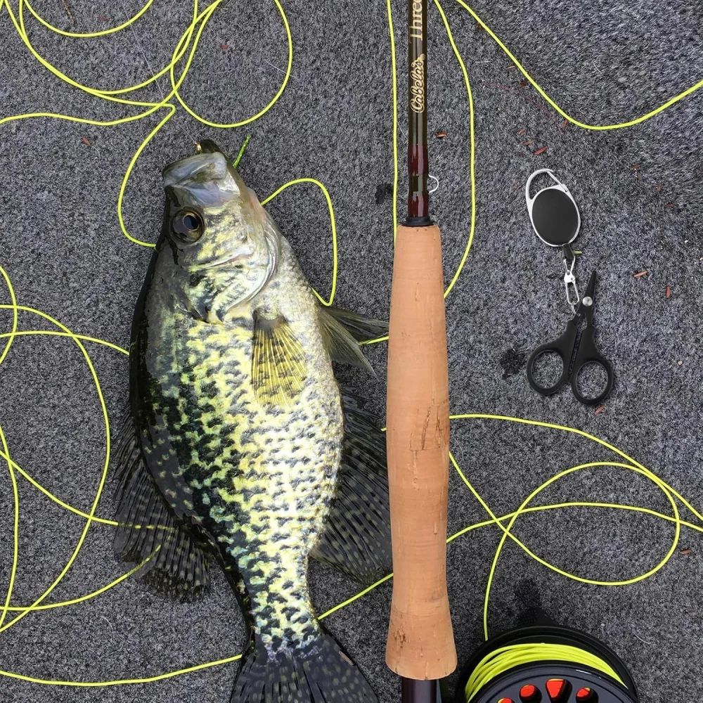 Stainless Steel Braided Line Scissors With Retractable Lanyard Fast Clean Fishing Line Cutter For 4