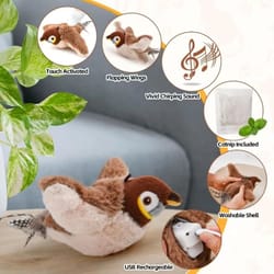 rechargeable flapping sparrow interactive cat toy with touch activation