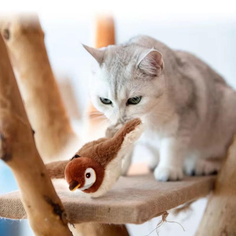 Rechargeable Flapping Sparrow Interactive Cat Toy With Touch Activation 1