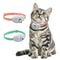 Laser Cat Toy Collar Attachment Cat Collar Laser For HandsFree Play Interactive Cat Toy For Indoor 0